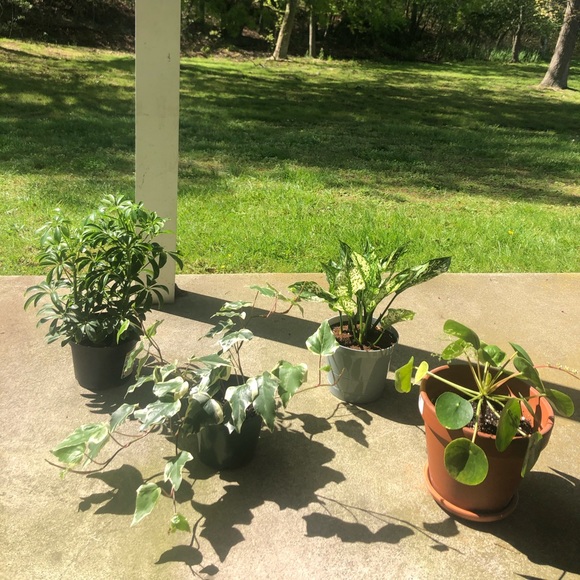 Hi π§πΌββοΈ - Picture 3 of 5